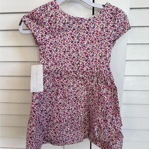 Ralph Lauren Pink Multi Floral Dress